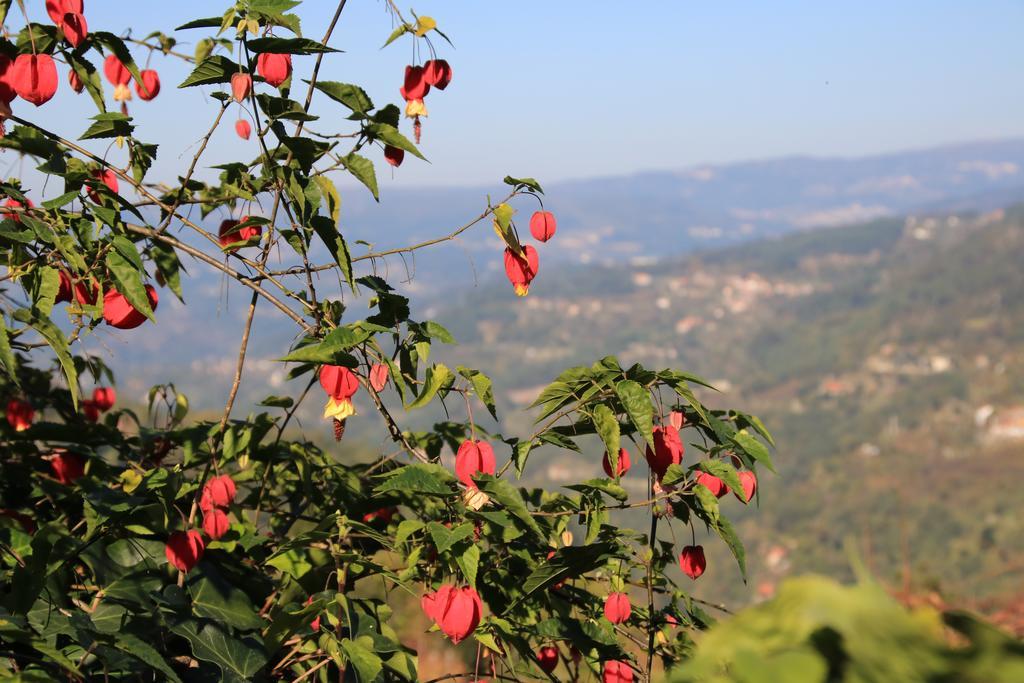 Douro Senses - Village House ซินเฟยส์ ห้อง รูปภาพ