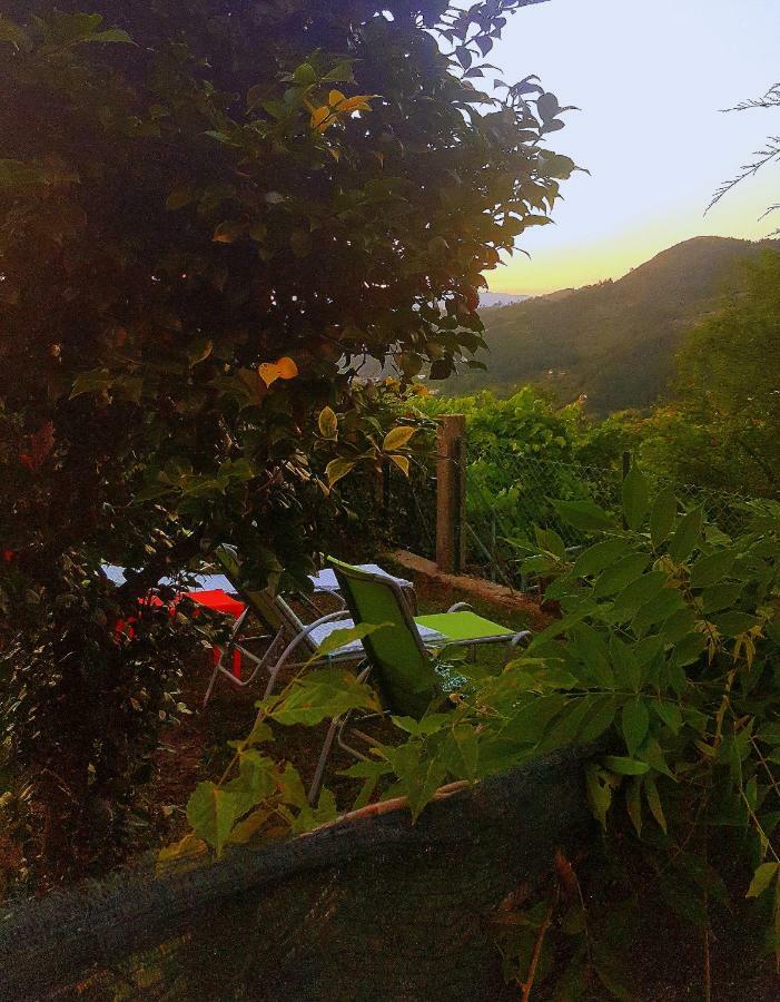 Douro Senses - Village House ซินเฟยส์ ภายนอก รูปภาพ